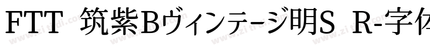 FTT 筑紫Bヴィンテージ明S R字体转换